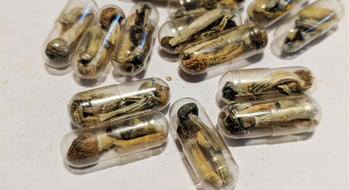 Microdose Magic Mushroom Capsules